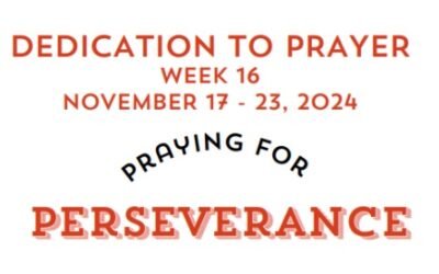 Prayer Focus: Perseverance November 17-23, 2024